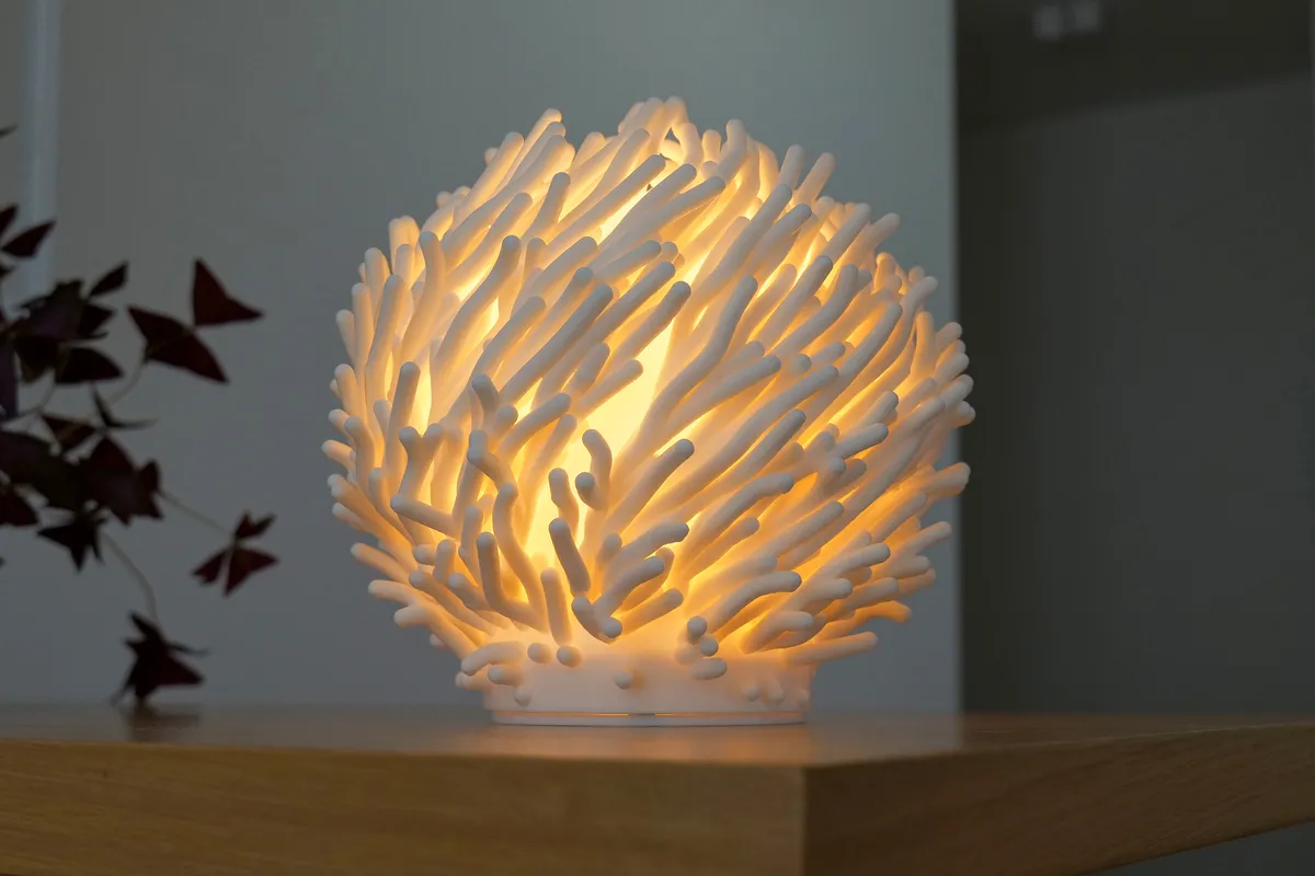 O7 Coral Sculpted Lamp - product image
