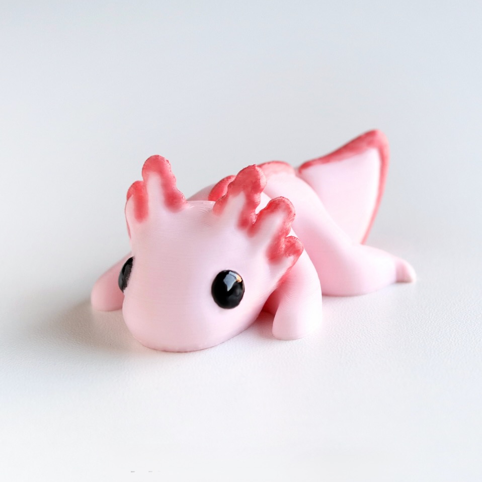 Axolotl - product image